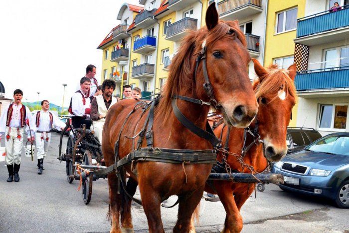 Ilustračný obrázok k článku FOTOnávrat do Humenného spred piatich rokov: Oblievačov na miesto činu dopravili kone