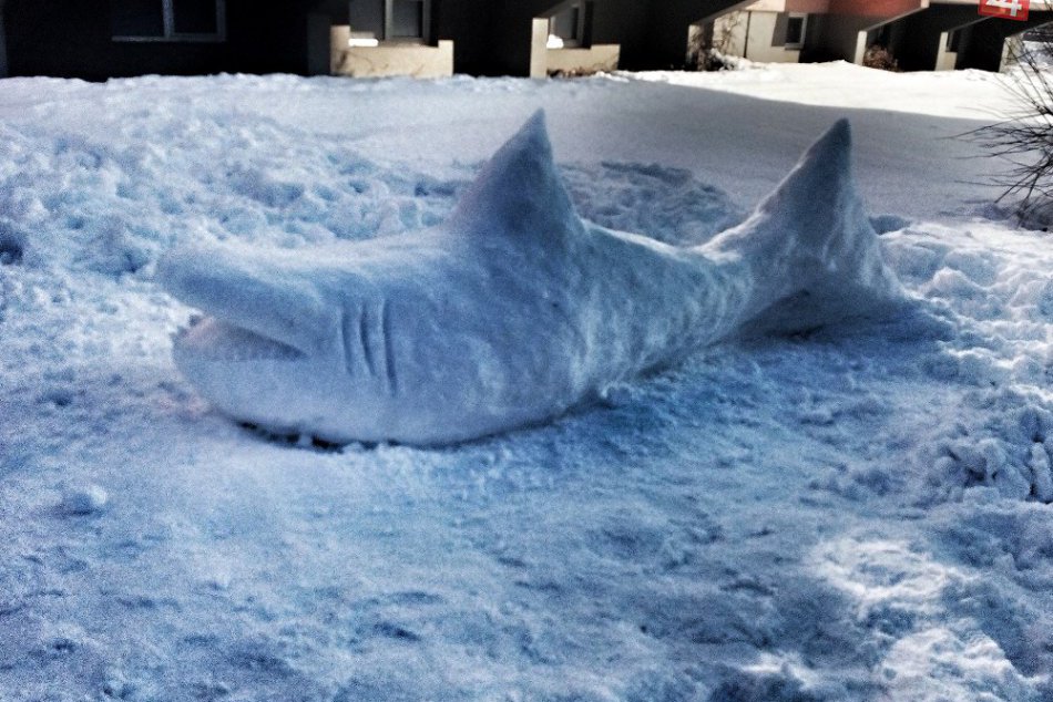 Na Sídlisku II A vyrástlo parádne dielo: Pozrite si snehového žraloka